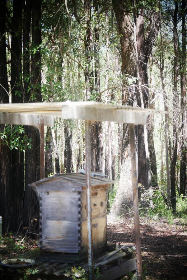 True North - 4Br Home & Garden In Bush Setting With Huge Bath Bilpin Exterior foto
