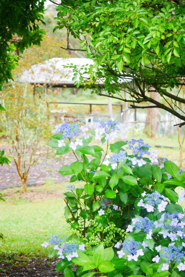 True North - 4Br Home & Garden In Bush Setting With Huge Bath Bilpin Exterior foto
